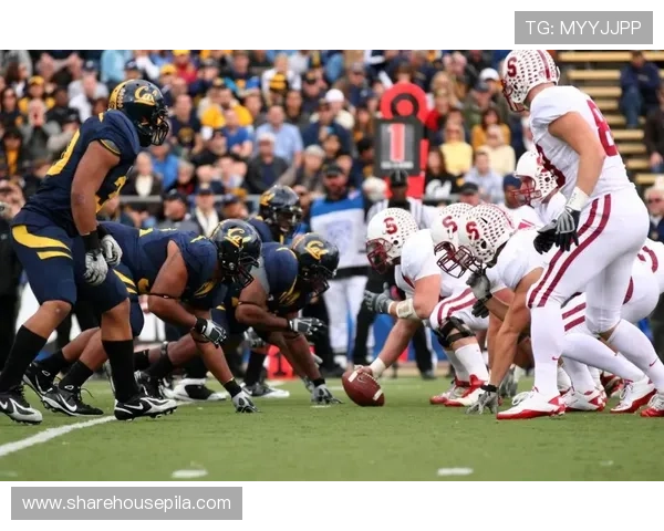 uc体育官方平台上线多项创新功能引领体育直播新潮流